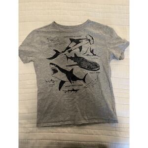 Gap Kids L Shark Tee